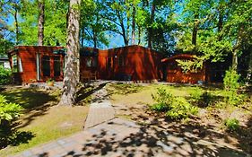 Wooden Nature Chalet - Dennenrhode Doornspijk