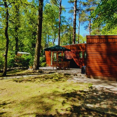 Villa Wooden Nature Chalet - Dennenrhode Doornspijk Exterior foto