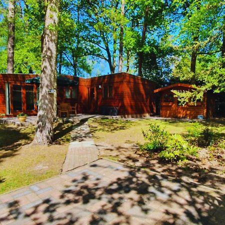 Villa Wooden Nature Chalet - Dennenrhode Doornspijk Exterior foto