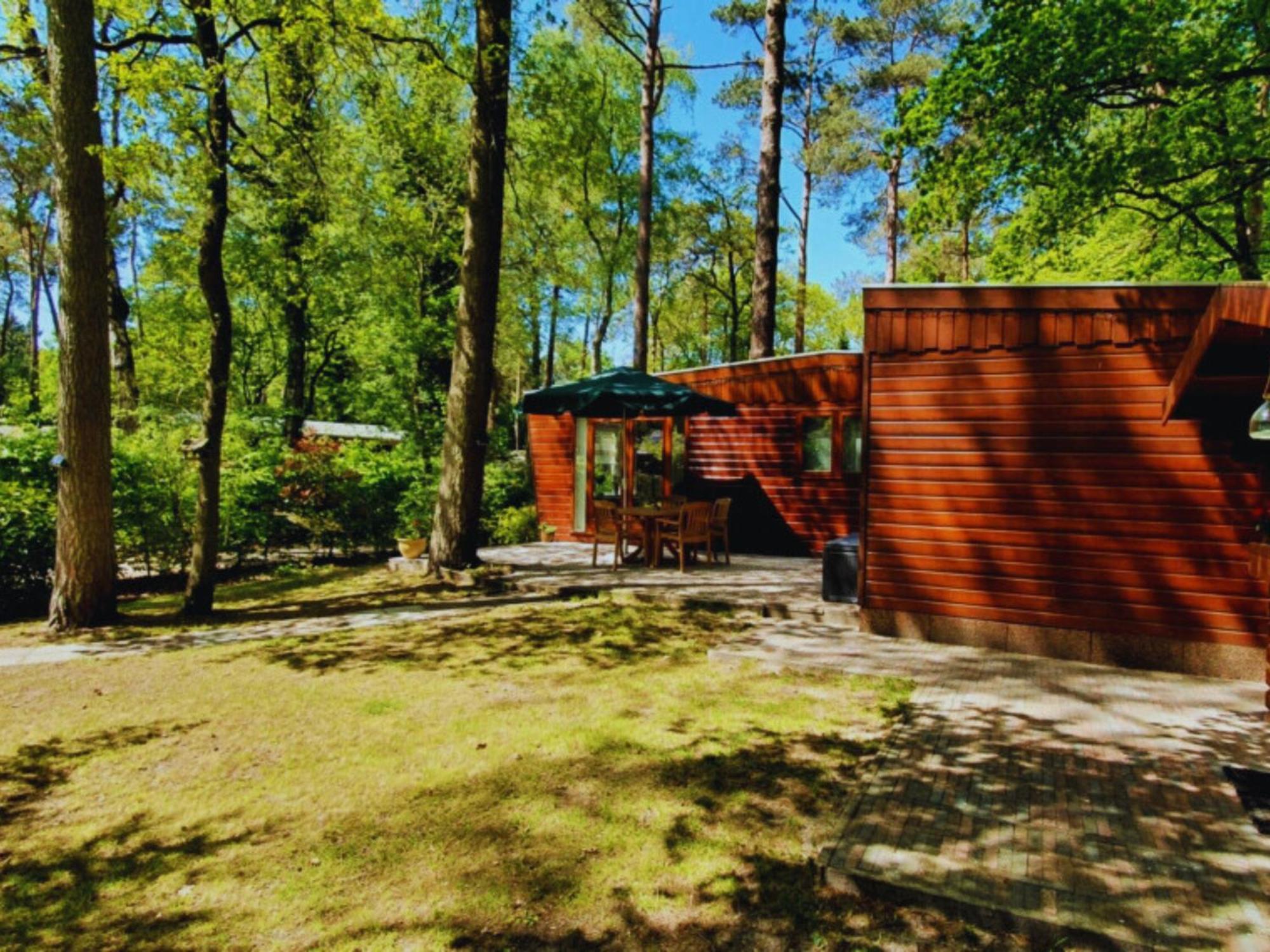Villa Wooden Nature Chalet - Dennenrhode Doornspijk Exterior foto
